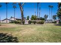 View of the community's well-kept green spaces, palm trees, and building exteriors on a sunny day at 2645 W Elm St, Phoenix, AZ 85017