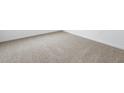 A close up of the carpeted floors in a bedroom with white trim at 35445 N Seedling St, San Tan Valley, AZ 85144