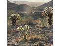 Tranquil desert landscape with native plants and scenic views enhance the property's natural appeal at 10716 N Skyline Dr, Fountain Hills, AZ 85268