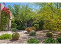 A drought-tolerant front yard featuring cacti and flowering bushes at 6855 E Amber Sun Dr, Scottsdale, AZ 85266
