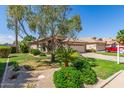 Well-manicured front yard with mature trees, shrubs, and a beautifully landscaped desert garden at 1424 W Mead Dr, Chandler, AZ 85248