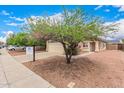 Beautiful single-story home with a tree-shaded front yard and an attached two-car garage at 12132 W Dahlia Dr, El Mirage, AZ 85335