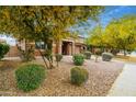 Inviting home exterior with manicured landscaping, decorative rock features, and a tree-lined view at 12172 W Davis Ln, Avondale, AZ 85323