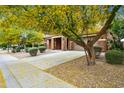 Beautiful home exterior with a well-maintained lawn and mature trees providing ample shade and curb appeal at 12172 W Davis Ln, Avondale, AZ 85323