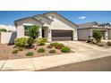Beautiful single-story home with a well-manicured front yard and attached two-car garage at 1482 W Gloucester W Rd, San Tan Valley, AZ 85143