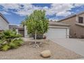 Beautiful home featuring a desert landscaped front yard, a two-car garage, and a tree at 1744 W Brookwood Ct, Phoenix, AZ 85045