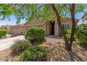 Inviting single-story home with well-maintained landscaping and a welcoming entrance with trees at 3313 W Five Mile Peak Dr, San Tan Valley, AZ 85144