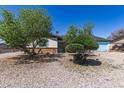 Cozy single-story home with desert landscaping, featuring trees and a gravel yard at 4402 N 79Th Dr, Phoenix, AZ 85033