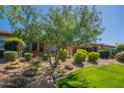 Backyard with lush landscaping, a green lawn, and mature trees provides privacy and beauty at 650 E Myrtle Pass, Queen Creek, AZ 85140