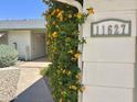 Close-up of the house number, 11627, with flowering vines adding a touch of nature at 11627 S Jokake St, Phoenix, AZ 85044