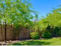 Lush backyard featuring green grass, vibrant trees, and a serene garden landscape against a clear blue sky at 4712 E Amberwood Dr, Phoenix, AZ 85048