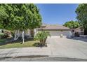 Well maintained lawn of a single story home with a three car garage at 1001 N Quail Ln, Gilbert, AZ 85233