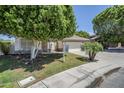 Beautiful landscaping around a single story home with a large shade tree at 1001 N Quail Ln, Gilbert, AZ 85233