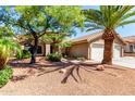 Beautiful single-story home featuring a two-car garage, tile roof, and a well-maintained desert landscape with mature trees at 1538 W Wagner Dr, Gilbert, AZ 85233
