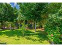 Well-manicured front lawn with trees and bushes in front of home at 2219 W Catalina Dr, Phoenix, AZ 85015
