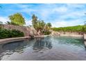 Relaxing backyard pool featuring rock accents and lush landscaping at 21373 N 94Th Ave, Peoria, AZ 85382