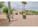 Attractive single-story home featuring desert landscaping, cacti, mature trees, and a stone accent at 8242 S Kachina Dr, Tempe, AZ 85284