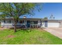 Charming single-story home with a lush green lawn and mature shade tree at 3824 N 8Th Ave, Phoenix, AZ 85013