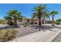 Street view of a single-story house, showcasing a well-maintained yard with palm trees and desert landscaping at 5625 E Dodge St, Mesa, AZ 85205