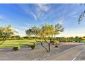 Scenic golf course view featuring lush green fairways, mature trees, and a clear blue sky at 7780 E Golden Eagle Cir, Gold Canyon, AZ 85118