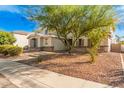 Well-manicured front yard featuring mature tree, stucco accents, and sidewalk appeal at 1779 E Kaibab Dr, Chandler, AZ 85249