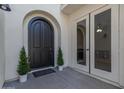 Elegant arched front door with decorative potted plants and sidelight, offering a warm welcome to visitors and residents alike at 4615 E Calistoga Dr, Gilbert, AZ 85297