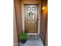 Inviting front door with a 'Welcome' wreath, accent lighting, and a potted plant at 11060 E Sorpresa Ave, Mesa, AZ 85212