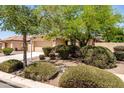 Landscaped front yard featuring mature trees and lush shrubs framing a cozy home at 4024 E Maplewood St, Gilbert, AZ 85297