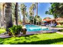 Relaxing backyard swimming pool featuring lounge chairs, tall palm trees, and lush green grass at 4203 E Hazelwood St, Phoenix, AZ 85018
