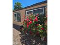 Quaint home exterior with lush rose bushes, complementing the cozy feel at 2511 N 56Th St, Mesa, AZ 85215