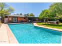 Backyard featuring a sparkling blue in-ground pool, patio area, and mature trees at 2908 E Pinchot Ave, Phoenix, AZ 85016