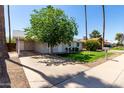 Home featuring a well-manicured front lawn, driveway, mature landscaping, and a gray exterior at 14008 N 61St Ave, Glendale, AZ 85306