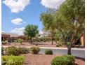 Beautiful street view showcasing mature trees and well-manicured landscaping in a peaceful neighborhood at 20455 N Lemon Drop Dr, Maricopa, AZ 85138