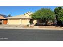 Inviting home showcasing desert landscaping, a mature shade tree, and a three-car garage at 2434 S Colleen --, Mesa, AZ 85210