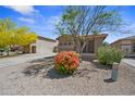 Beautiful desert home with flowering bushes, gravel landscaping and mature shade trees at 8745 W Windsor Dr, Peoria, AZ 85381