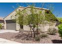 Charming single-story home showcasing desert landscaping and a mature tree, enhancing its curb appeal on a sunny day at 14114 W Surrey Dr, Surprise, AZ 85379