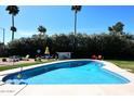 Backyard pool with lounge seating and tall palms, perfect for summer entertaining at 7537 W Bluefield Ave, Glendale, AZ 85308