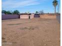 Large vacant lot ready to build with mature palm tree and privacy wall ready for a new home or development at 1916 N 22Nd St, Phoenix, AZ 85006