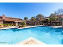 Resort-style pool with lounge chairs and covered seating, surrounded by lush landscaping at 20660 N 40Th St # 2016, Phoenix, AZ 85050