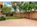 Lush backyard with low-maintenance turf, pavers and mature trees, surrounded by a privacy wall at 4368 E Cullumber St, Gilbert, AZ 85234