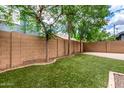 Spacious backyard featuring low-maintenance turf and a paver patio area, perfect for outdoor gatherings at 4368 E Cullumber St, Gilbert, AZ 85234
