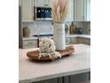 Kitchen island features quartz countertop, decorative vase, and serving tray at 5011 E Nisbet Rd, Scottsdale, AZ 85254