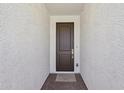 Front door with a brown color, brass hardware, and a stone entryway at 9547 W Parkway Dr, Tolleson, AZ 85353