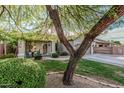 Lovely single-story home featuring mature tree, lush lawn, and inviting front porch with seating at 1508 S Danyell Pl, Chandler, AZ 85286