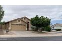 Attractive single-story home with a tidy front yard and neutral paint scheme, presenting a welcoming facade at 13031 W Surrey Ave, El Mirage, AZ 85335