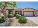 Single-story home with desert landscaping, shade tree, and two-car garage on a sunny day at 18003 W Carmen Dr, Surprise, AZ 85388
