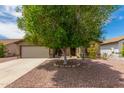 Charming single-story home with a well-maintained yard and mature shade tree at 18016 N 145Th Ave, Surprise, AZ 85374