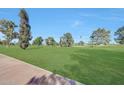 Beautifully maintained community greenspace with mature trees and lush grass at 19215 N Concho Cir, Sun City, AZ 85373