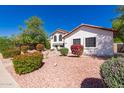 Well-maintained home with desert landscaping and lush, colorful blooming bushes at 2630 E Dolphin Ave, Mesa, AZ 85204