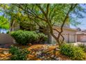 Desert landscaping featuring a mature tree, rocks, and mulch at 4834 E Robin Ln, Phoenix, AZ 85054